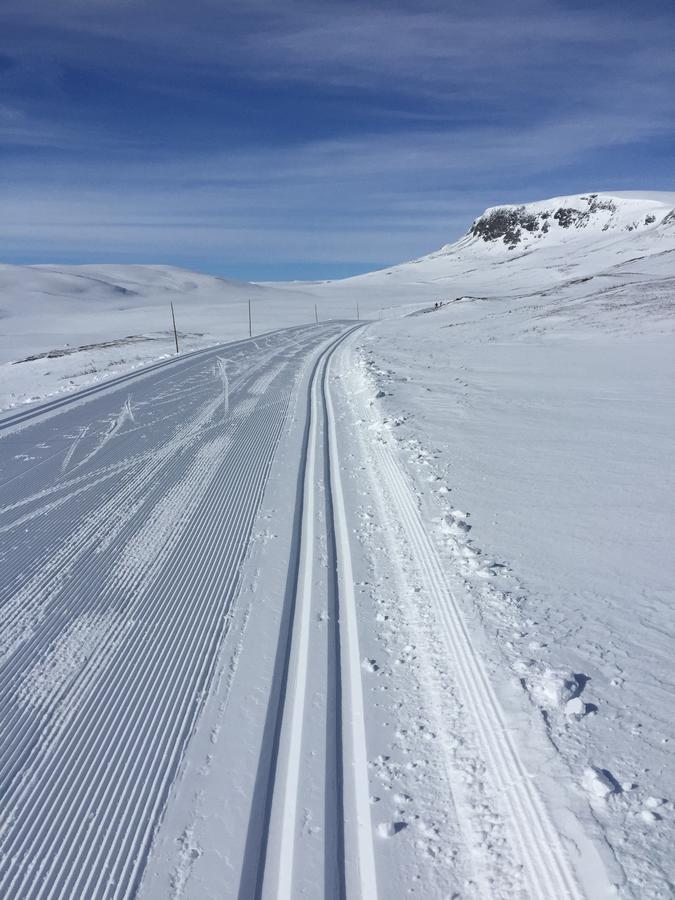 Tuftelia Storhytte Hotel Geilo Buitenkant foto